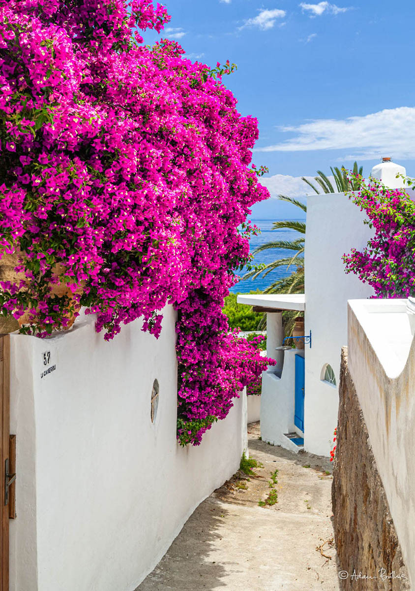 Alleyway with Bougainvillea, Drauto, Panarea