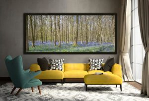 Dockey Wood Bluebells, framed acrylic glass print in an interior
